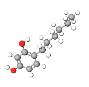4-Hexyl-resorcinol là gì? Nhân tố tiềm năng chống lão hóa da