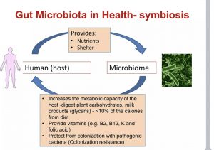 Gut Microbiome - Hệ vi sinh đường ruột và những điều cần biết