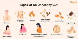 Gut health - Sức khỏe đường ruột và cách cải thiện