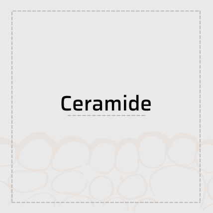 Ceramide là gì? Tác dụng của Ceramide với làn da