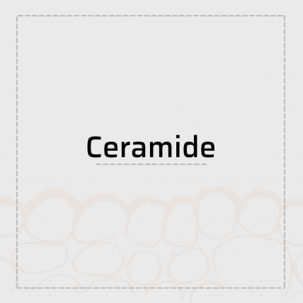 Ceramide là gì? Tác dụng của Ceramide với làn da