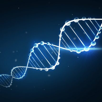 DNA Repair và ứng dụng trong mỹ phẩm